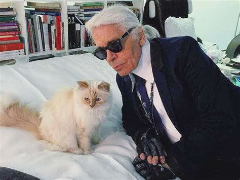 All About Karl Lagerfeld's Beloved Cat Choupette 